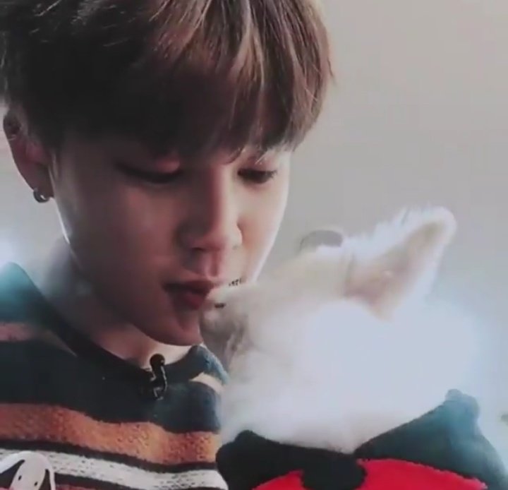 jeonsmut's tweet photo. ha it happens again

#BT21 @BTS_twt #BTS  #THOSFansBTS16M #BTSxYouTubeRed #BTSonBillboard #BurnTheStage #BTSARMY #JIMIN #ParkJimin #ArmyLanguagesDay https://t.co/u9h0wbOd4K