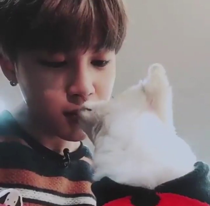 jeonsmut's tweet photo. ha it happens again

#BT21 @BTS_twt #BTS  #THOSFansBTS16M #BTSxYouTubeRed #BTSonBillboard #BurnTheStage #BTSARMY #JIMIN #ParkJimin #ArmyLanguagesDay https://t.co/u9h0wbOd4K