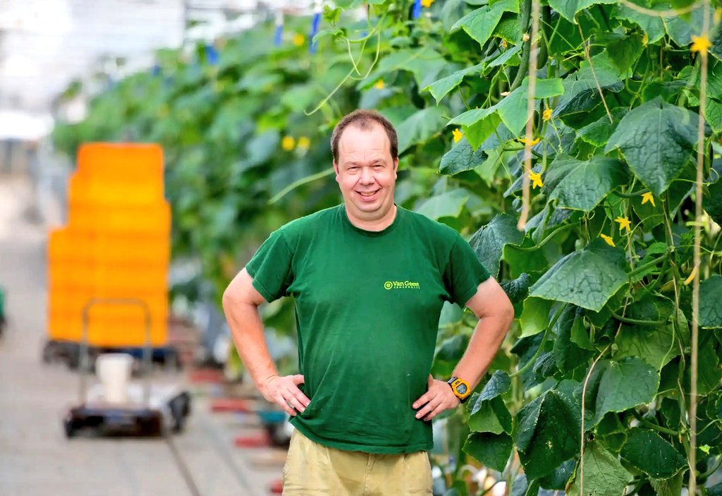 Mini komkommers van boer Arthur. Nieuw assortiment! #snoepgroente #gezond