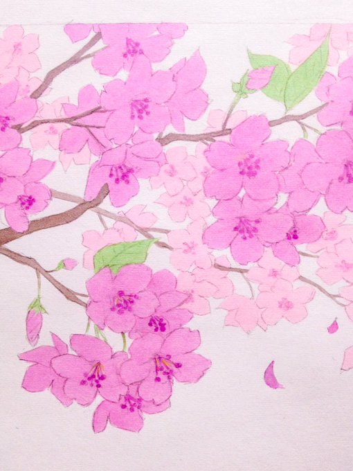 「桜」のTwitter画像/イラスト(古い順｜RT&Fav:50)｜2ページ目