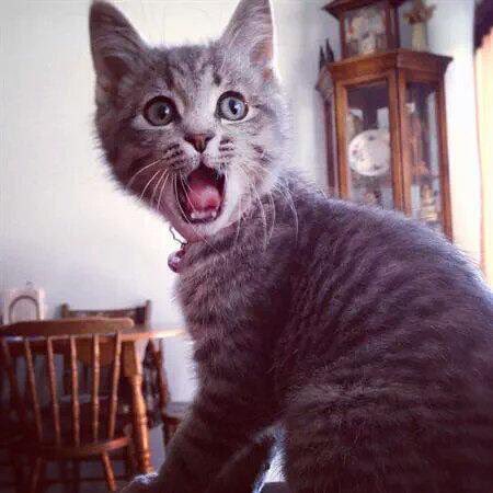 <a href="/LevykinV/">Левыкин Вячеслав</a> @pilot_svb <a href="/Chandra1Vinod/">Jessica</a> <a href="/ersu1880/">gönül akyar</a> <a href="/SebastianHine/">Sebastian Hine</a> <a href="/ARTART07445955/">ARTART.   💜 🔯  💜</a> <a href="/zerok_z/">Asi ♡</a> @CristinPereyra <a href="/Daly86623860/">Daly🌸</a> @mactoras <a href="/EliLeonarda/">👄☀ Ệŀïẓäńġệŀä 🌷🌿</a> <a href="/Recepet91573190/">Recepcetin_69</a> <a href="/DeFaukatrua/">Edu live</a> <a href="/papamohsen/">mechergui mohsen</a> <a href="/tuncay6969/">Tolga</a> @Soza1Biden <a href="/yarillobands/">♦️yarillobands♦️</a> <a href="/Sikanda65154575/">Sikandar Mirza</a> <a href="/keikalin020460/">keika♒️🤗💓😸</a> <a href="/WilliamsJosemir/">tenente josemir</a> <a href="/shinunao2/">naonao shakura🌸🌸🌸</a> @Elamatusiak3gm3 <a href="/polom101/">Magnifico</a> <a href="/BrettCateley/">ifb</a> <a href="/FlowergirlPaula/">⚘🌺sweet pea..🌷▪︎🩷*~💕⚘🌸🌷☆⚘○🩷~♡☆⚘🌷▪︎🦋🌸•°~*</a> <a href="/Kamel11821020/">Kamil</a> <a href="/Zafjaved/">Zaf Javed</a> <a href="/ViktorMochalin/">mochalin viktor</a> <a href="/ArshadKhanKhat3/">Arshad Khan Khattak</a> <a href="/estrogenplus/">Breast Cancer Sucks</a> <a href="/GOODFATHER_71/">🇬 🇴 🇴 🇩 🇫 🇦 🇹 🇭 🇪 🇷 71</a> <a href="/MistressTepco/">꧁スカーレット緋色꧂36K🦩</a> <a href="/PiticNiki/">🌹my beautiful world🌹🐞</a> <a href="/natalyperrier2/">Nathe-03 🇫🇷🇫🇷</a> <a href="/Koksalakn/">Köksal Akın</a> @malemalefica <a href="/niuracastrillon/">𝙉𝙞𝙪𝙧𝙖 𝘾𝙖𝙨𝙩𝙧𝙞𝙡𝙡𝙤́𝙣 🇧🇷</a> <a href="/nico_gaia/">NicoGaia (Nicoletta Cookie 🐈‍⬛💞</a> <a href="/Shumona13/">Shumona</a> @bcavalli3333 <a href="/debratankersle1/">debra tankersley</a> <a href="/SafeerButt4/">Safeer Butt</a> <a href="/dutour11/">Daniel de Arles 😇</a> <a href="/OraliaSotoRoman/">OraliaSoto</a> <a href="/PosiePosie1212/">Posie</a> <a href="/piotr408/">Pit Szyk</a> <a href="/PicPublic/">PicPublic</a> @kazurin4428 <a href="/KedmaHelena1/">💕KédmaHelena1💕</a> <a href="/jaimemiserachi/">Jaime Miserachi</a> TOTALLY FASCINANT LevykinV pilot_svb e47more