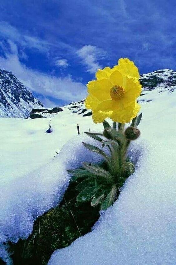 shorty (@shorty_uli62) on Twitter photo 