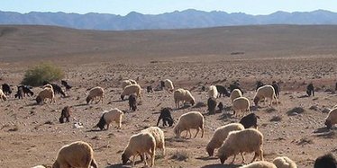 #SIG et analyse spatiale pour détecter les régions du génome soumises à la sélection naturelle - des modèles simples utiles à la mesure et l'évaluation de la biodiversité #conservation
Article disponible ici - goo.gl/RYUUK6