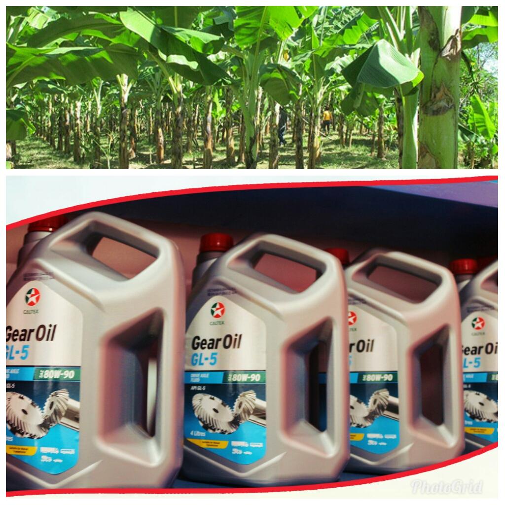 shadykahenge's tweet photo. Straight outta Kisii. We have the #CaltexBebaBeba @AFAL_ke crew doing their thing in one of the most fertile lands in Kenya #MatokeLand keep it here for more #Brekko @GhettoRadio895 https://t.co/KL75ZSEb36