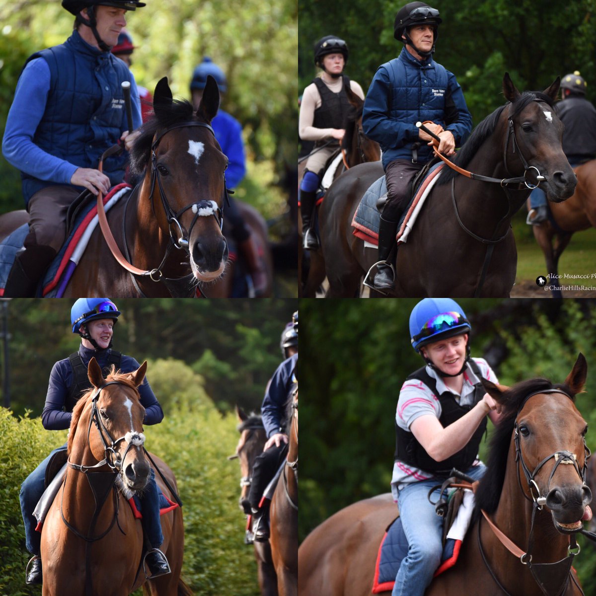 Afternoon activities may be cancelled <a href="/LambournOpenDay/">TheLambournOpenDay</a> but you can still come and see the likes of Battaash, Nebo, Jallota, Dutch Connection and many more at Faringdon Place on Friday morning. We’re looking forward to seeing you #openday #GoodFriday #cbh