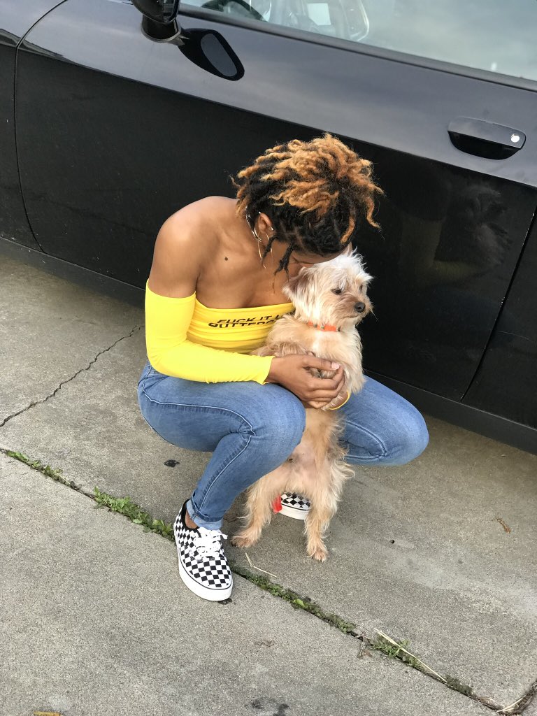 Ah_mani's tweet photo. My baby❤️🐶 #fuckitupbuttercup #novababe 💛👑 #sacramentoyoutuber https://t.co/sn4KzXkCYo
