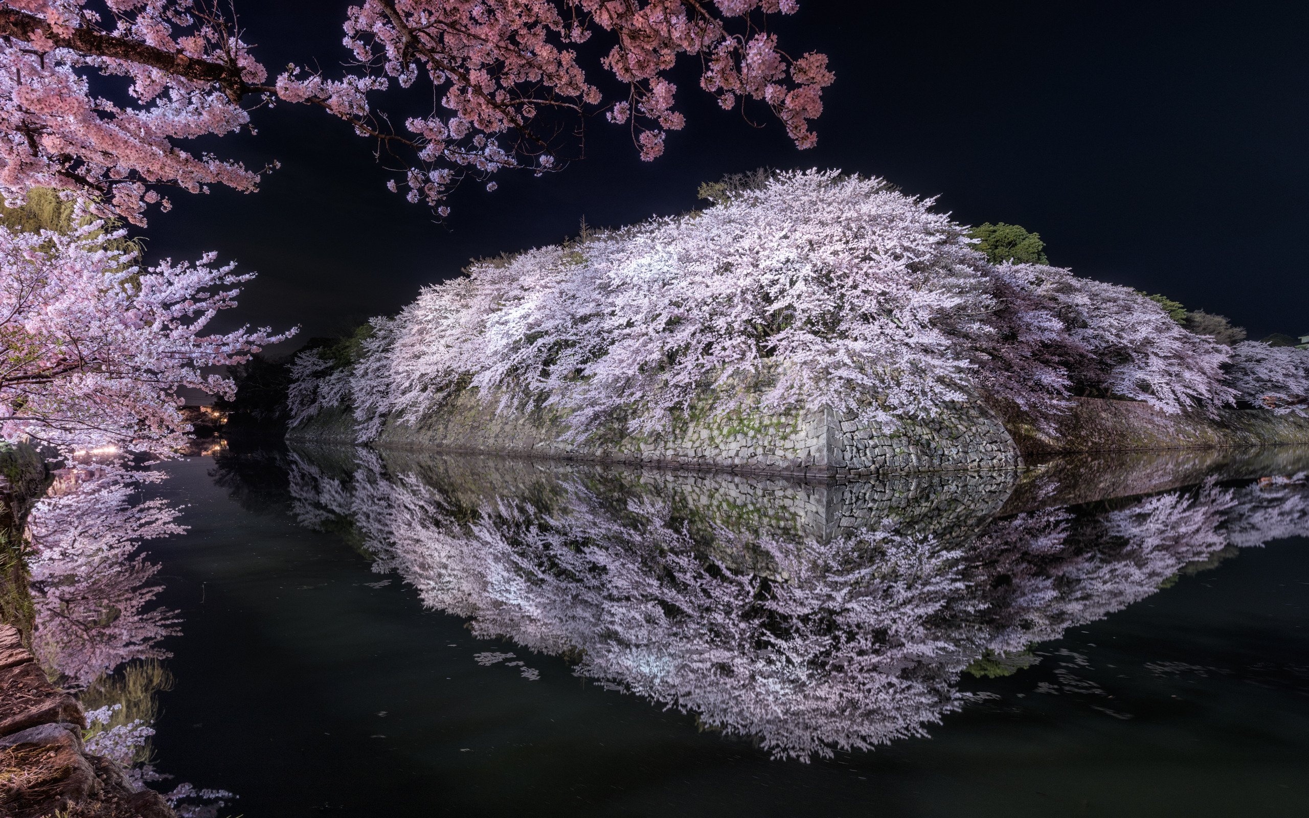 あ かんでん坊や 今日は 滋賀県にある 彦根城 の 桜 昨年撮影 をお届け 4 1 日 金 の 彦根城桜まつり では ライトアップも行われるよ キレイな桜の写真を コメント欄で紹介してくれたら嬉しいなぁ さくらの日 夜桜 ライトアップ