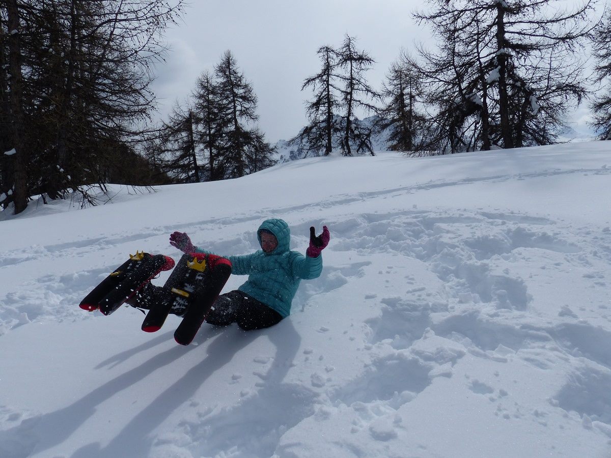 SmallFootEU's tweet image. Check out "Trekking in the Alps and Trekking in Provence" for a chance to try our snowshoes in France! #havingfun #trekking #France

For more info: smallfoot.eu