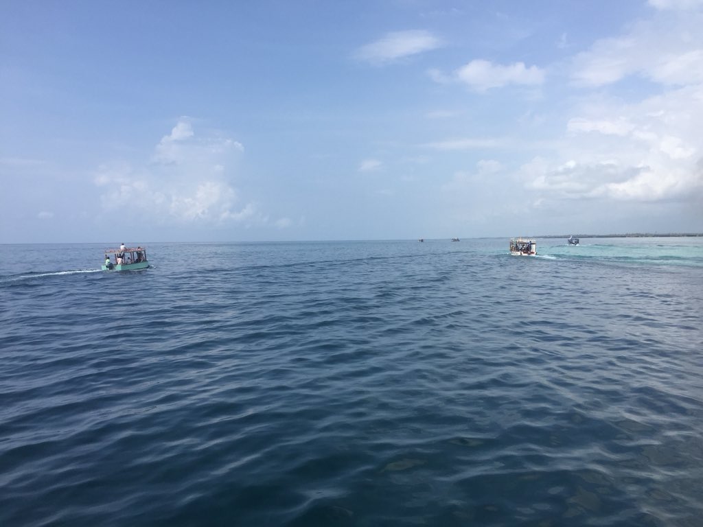 Gilbert Mwang'ombe M (@mgilleym) on Twitter photo All our eyes are out in the ocean searching for the #Marinebig5 and learning more about our oceans... happening now at Watamu MPA <a href="/WatamuMarine/">WatamuMarineAssoc.</a> <a href="/OceansAliveKE/">Oceans Alive</a> <a href="/lamumarine/">LaMCoT</a> <a href="/kwskenya/">Kenya Wildlife Service</a> All our eyes are out in the ocean searching for the #Marinebig5 and learning more about our oceans... happening now at Watamu MPA <a href="/WatamuMarine/">WatamuMarineAssoc.</a> <a href="/OceansAliveKE/">Oceans Alive</a> <a href="/lamumarine/">LaMCoT</a> <a href="/kwskenya/">Kenya Wildlife Service</a>