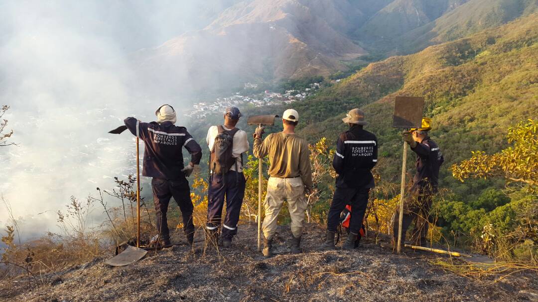 bforestalesinp's tweet photo. #BomberosForestales INPARQUES agradece a todas las organizaciones voluntarias y órganos de seguridad ciudadana que participan en el combate de los incendios forestales que afectan nuestros Parques y otras áreas protegidas. Gracias por sumarse a la protección de nuestro pueblo!!! https://t.co/ozPToyxKPV