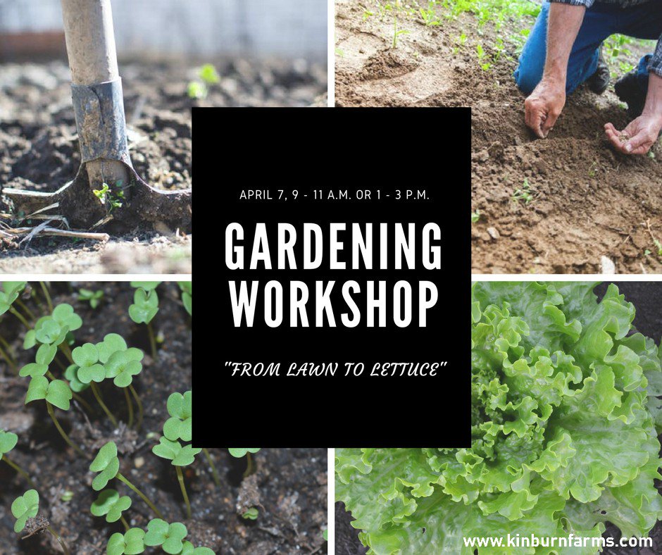 KinburnFarms's tweet photo. What to save money and eat healthy from your own backyard? Join us and learn tips and tricks to grow more food with less work! https://t.co/wa4m2h288e  #ottcity #ottawa #ottfoodies https://t.co/Fw0bsI7qGu