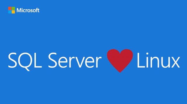 bobwardms's tweet image. Talking @SQLServer on #Linux this morning at #SQLintersection.