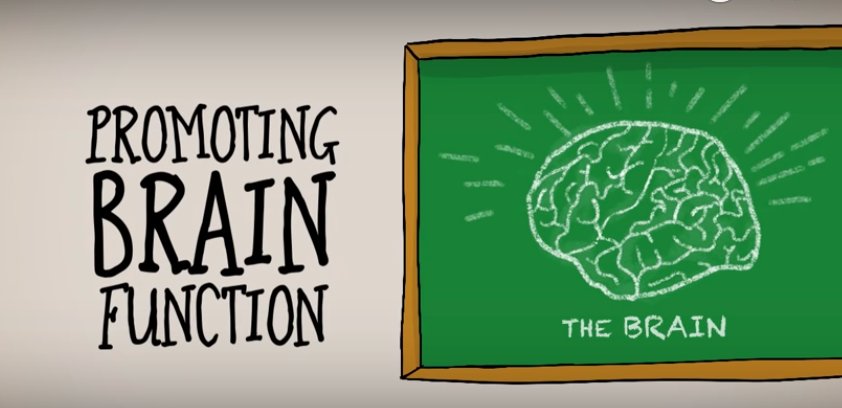 Clinical studies show Cognizin® provides vital nutrients that help the brain stimulate electronic impulses, maintain healthy neurons and protect them from free radicals.  #brainhealth #Cognizin© #Citicoline bit.ly/2GlLFv1