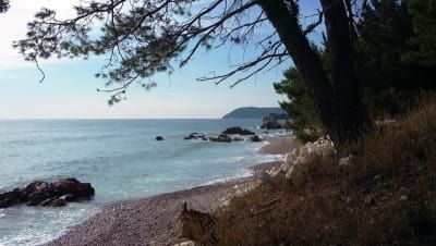 prestigeprops's tweet photo. Build Your Own 4* Hotel on this Stunning Plot!
Planning Permission Agreed, in Montenegro!
ONLY 436,000 EUR!! https://t.co/XD4kpKT4Ub
#Montenegro #plotofland #buildyourhotel #investment #luxuryplot https://t.co/lL8KI5S6kj