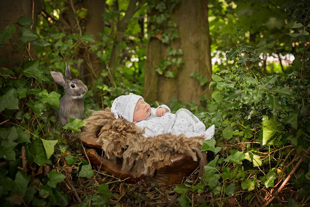 INDXShows's tweet photo. Do you have a new baby to buy for this Easter? @BabyAcornBaby Sketched Bunny print sleepsuit with matching knot hat and reversible shawl in 100% cotton would make the perfect gift. https://t.co/DlmhBRmiIM