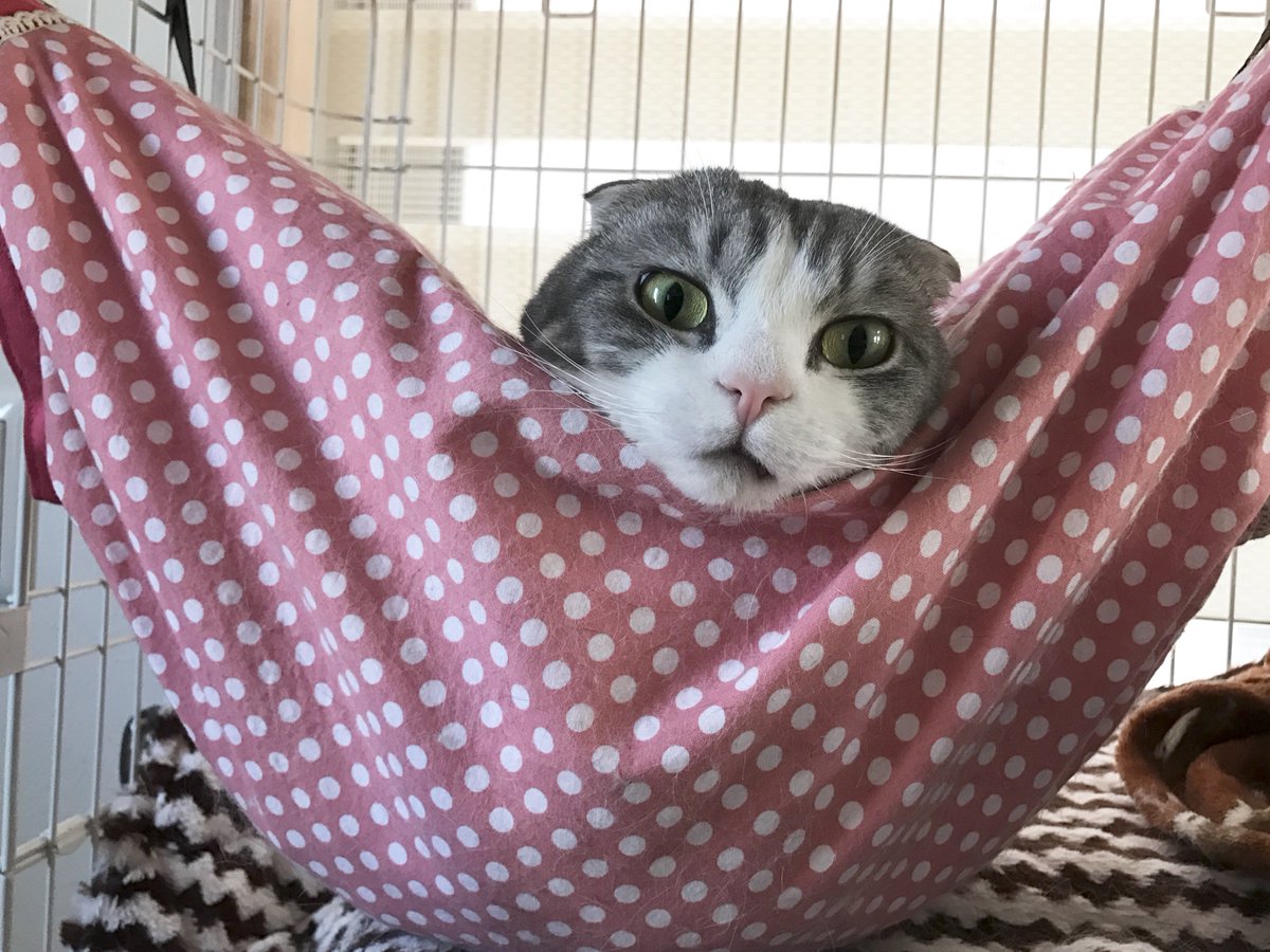 風船太郎 風船太郎