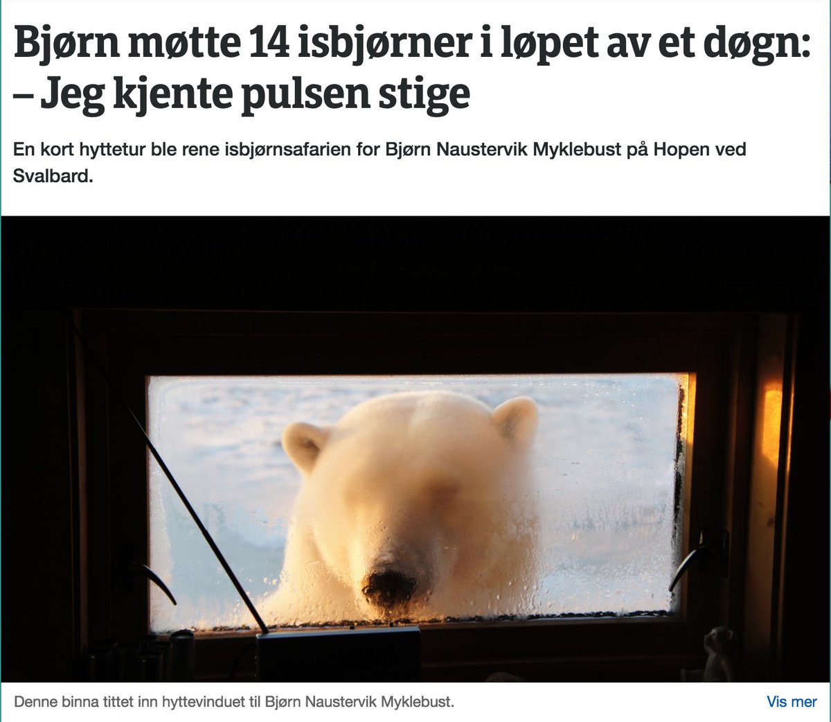 Sindre Blicher Larsen tweet media