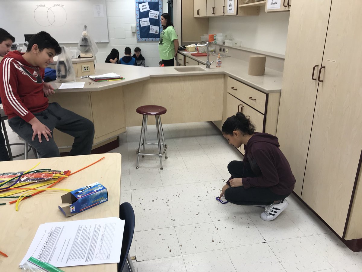 jgschlenkert's tweet photo. “Owls” hunting “mice”.  Scientists investigate limiting factors in ecosystems.#pagepanthers @PagePanthers @PageSciDept #Wearelamphere https://t.co/q0YmPFDWUB