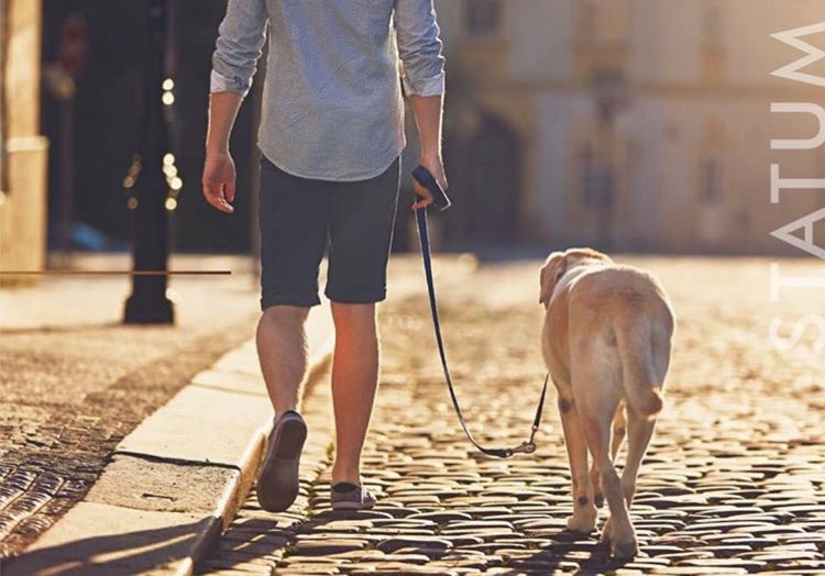 Statum_ltd's tweet photo. Sometimes it's just the simple things... booking a dog walker or a babysitter, getting the front door lock fixed, arranging a birthday party... at Statum we can take care of everything #statumlife #todolist #rushed #conciergeservices #lifestyle #dailyquote #luxurylife #party https://t.co/JQatRxxxD3