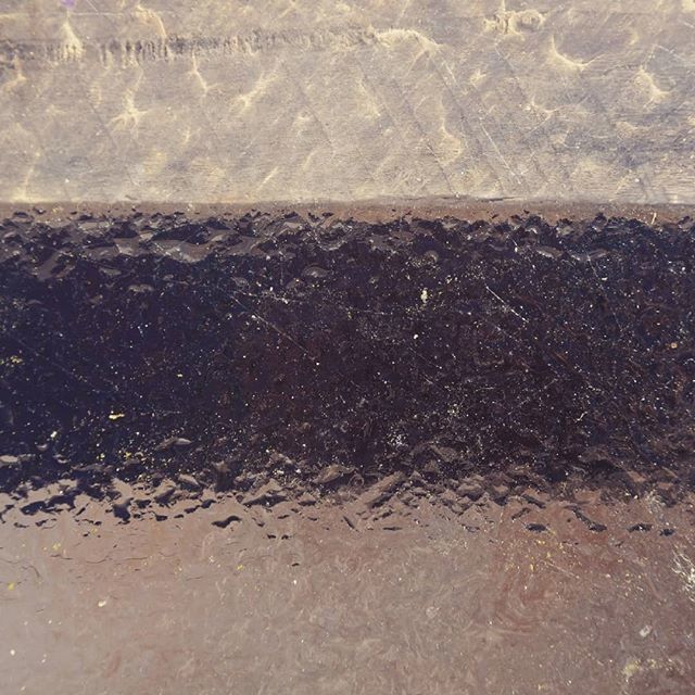 NaturallyClaire's tweet image. Morning light patterns are jumping out at me and saying hello!
#printmaker #patterndesign #patternfinder #naturesart #art #goodmorning #morning #morninglight ift.tt/2unnFTt
