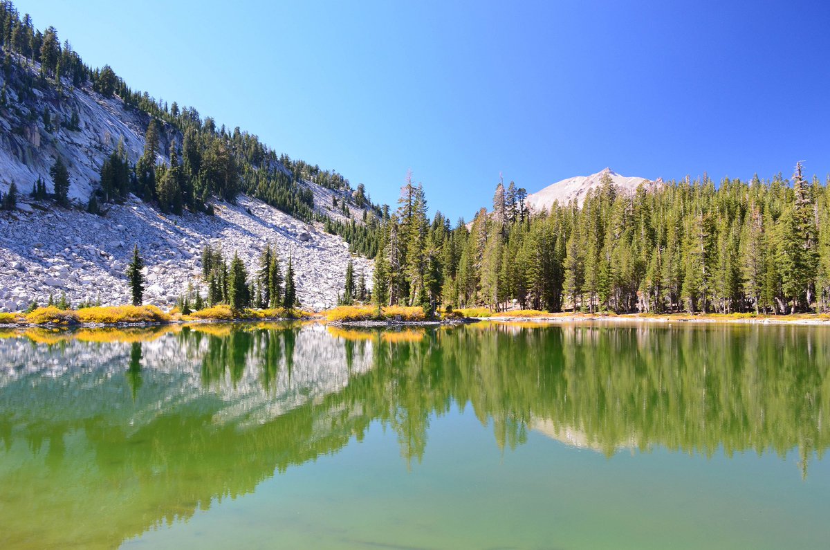 AsyaRestless's tweet image. 