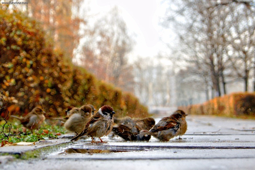 AsyaRestless's tweet image. 