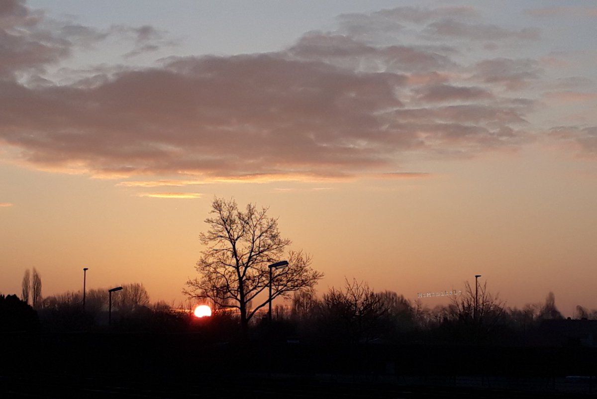 MoMonikale's tweet photo. Look a new day to enjoy #sunrise #Happyshortweek #TuesdayThoughts Have everyone a lovely day 🌞⚘☘ https://t.co/9WRNkPRAFz