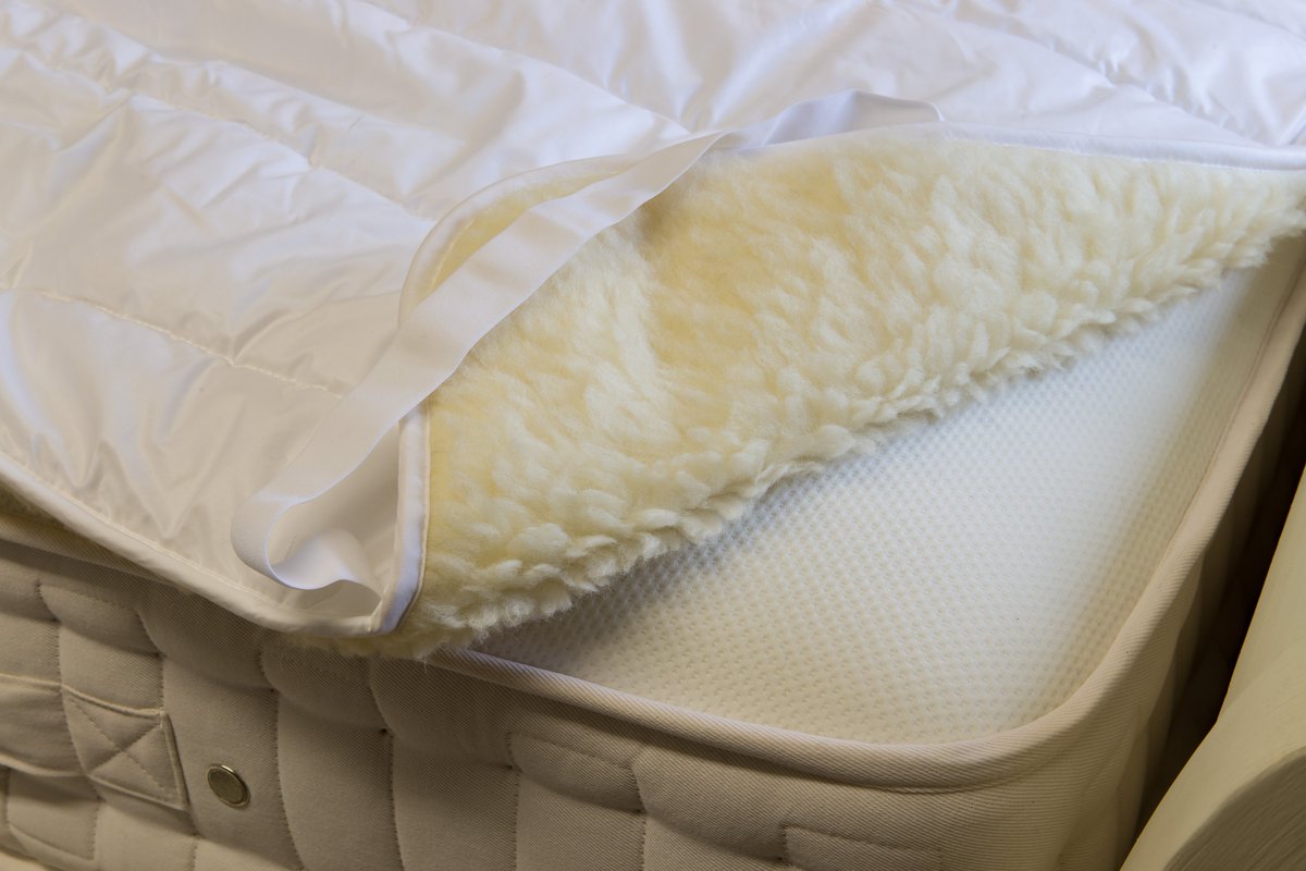 Alpaca & Natural Comfort tweet media