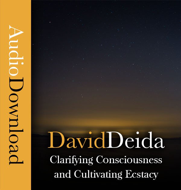 David Deida tweet media