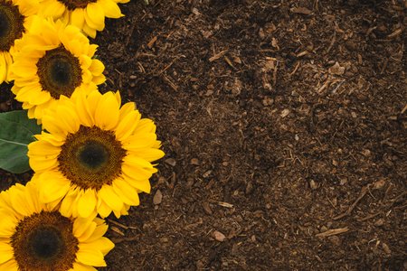 rileylawson_97's tweet image. #VirtualRealityInternet, #HowToCreateAugmentedReality Bose is carving out $50 million for startups using its new audio-focused AR tech goo.gl/eC1MGq