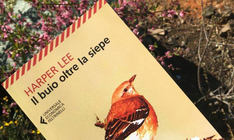 Appuntamento su Harper Lee e il suo capolavoro "Il buio oltre la siepe" per il quinto giovedì del mese presso la Biblioteca Civica Carlo Negroni​, giovedì 29 marzo alle ore 18. 
facebook.com/events/3366792…