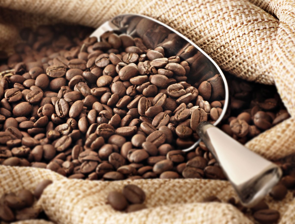 La producció de cafè a nivell mundial és molt gran i suposa grans fonts d’ingressos per molts països. #decodingcoffee #cafescornella #cafe #coffee #cafelife #coffeecommunity #coffeeprocessing #coffeeproduction #coffeeproducers
