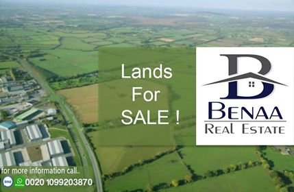 BenaaReal's tweet image. 