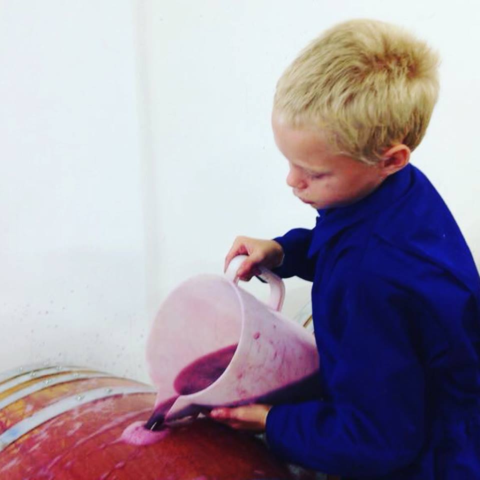 Dunstone_Estate's tweet image. When you run a family farm, it’s not hard to find willing help with filling the wine barrels! #handlanger #heartwellington #winewednesday #winefarm