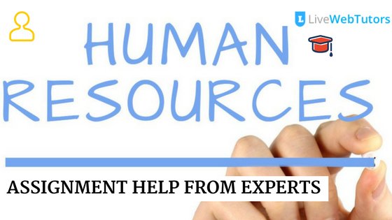 OliviaCrew18's tweet image. Human Resource Management Assignment Help From Experts of LiveWebTutors.
👉 livewebtutors.blogolink.com/billet/human-r…

#HumanResourceManagementAssignmentHelp#AssignmentHelp#myAssignmentHelp