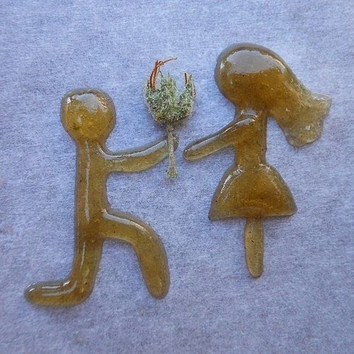 ____Cannabis's tweet photo. #Cannabis https://t.co/V3pGckO2w8