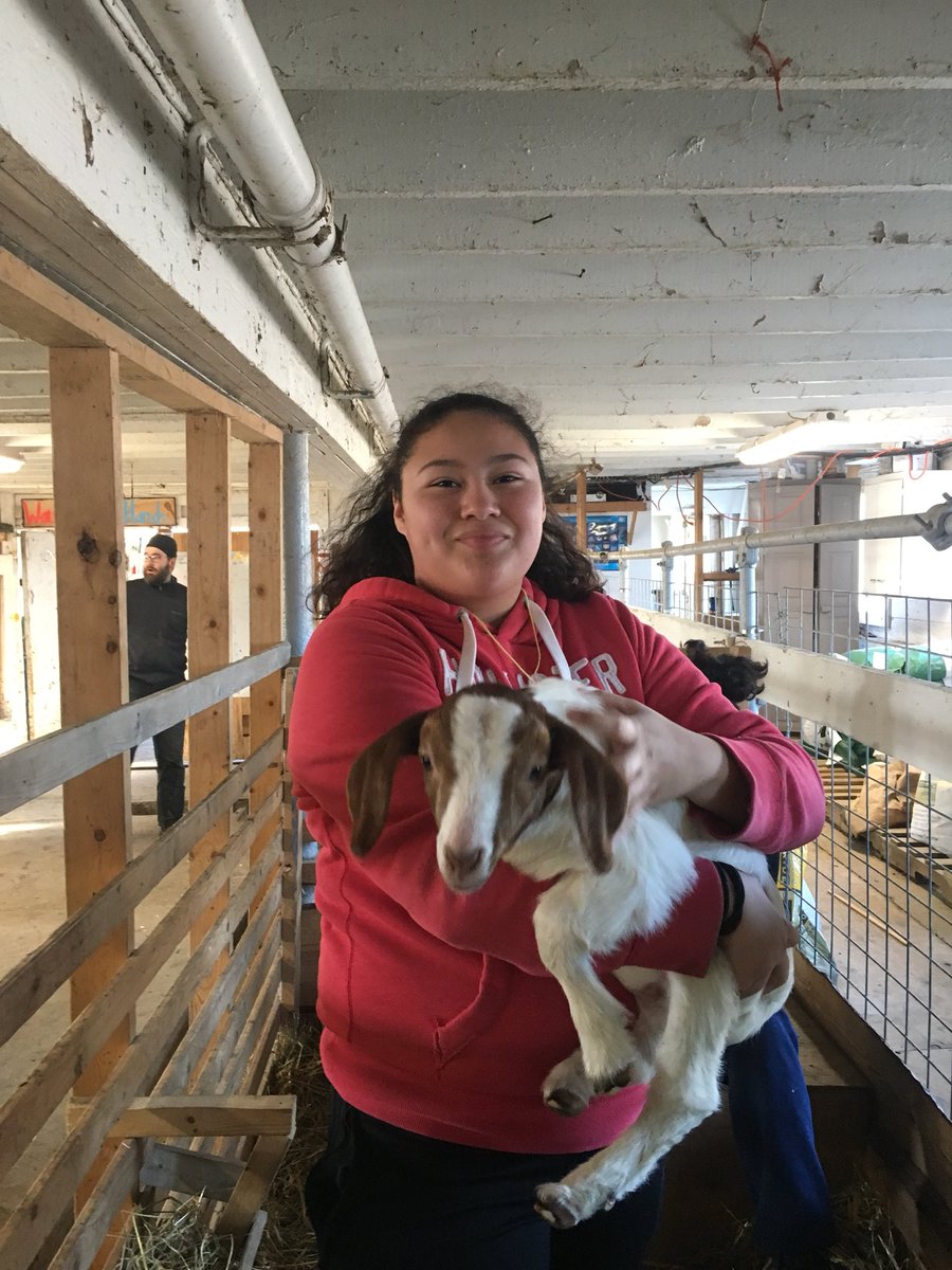 MsBird62's tweet photo. University park students leaving the walls of the building for a few day at The Farn School #wpslearns #thefarmschool @worcesterpublic https://t.co/7ZjsY60UuB