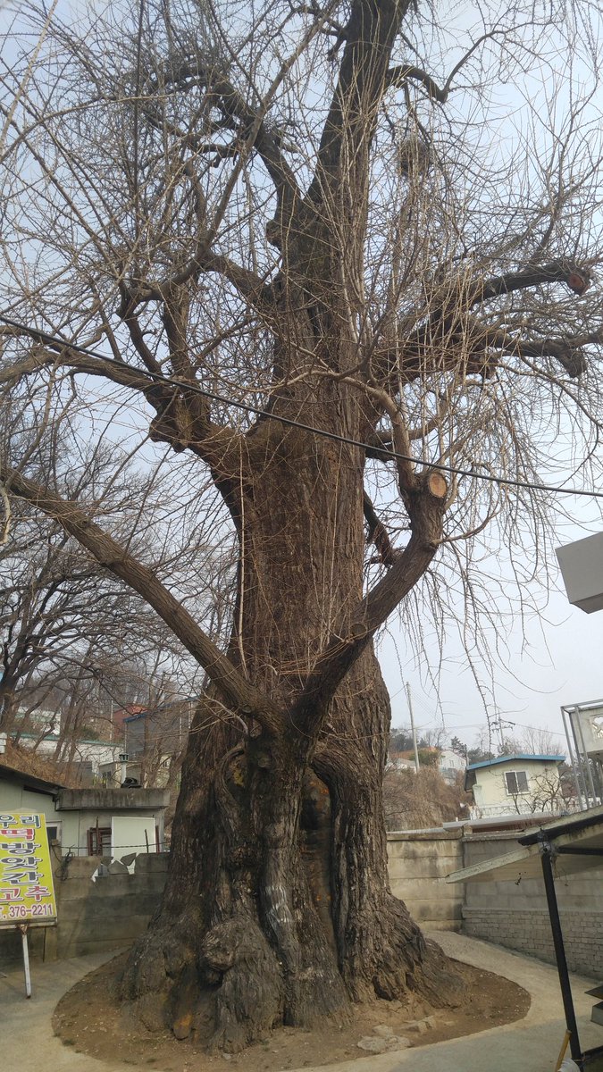 freemancloud tweet picture
