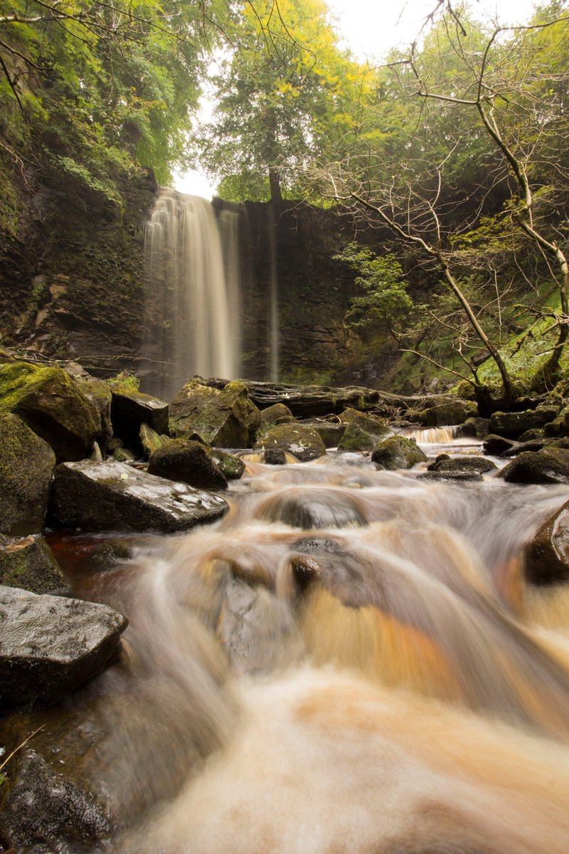 Tonight it's Rivers time on #WildBritain. So if you like salmon, otters, beavers, kingfishers, dippers, trout, geese, dolphins or #50shadesofgrayling then this one's for you. 9pm on <a href="/channel5_tv/">Channel 5</a> <a href="/PlimsollProds/">Plimsoll</a> <a href="/bramblemediauk/">Mitch Turnbull</a> <a href="/WWTCaerlaverock/">WWT Caerlaverock</a>