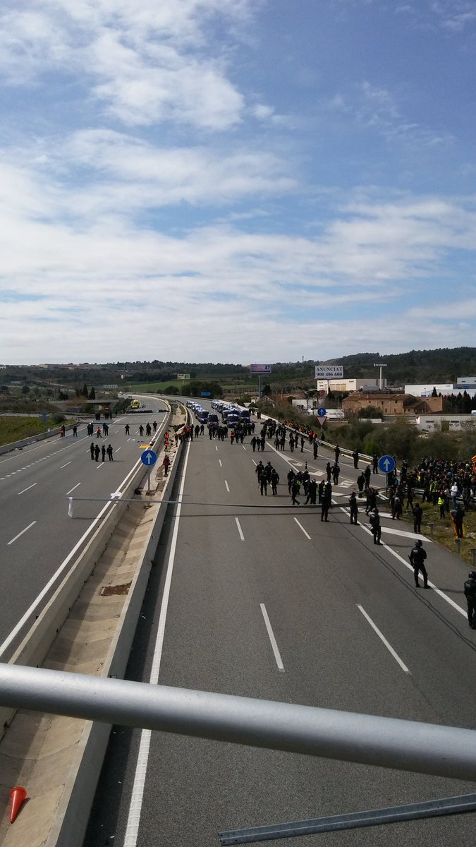 CDR.Vidreres tweet media