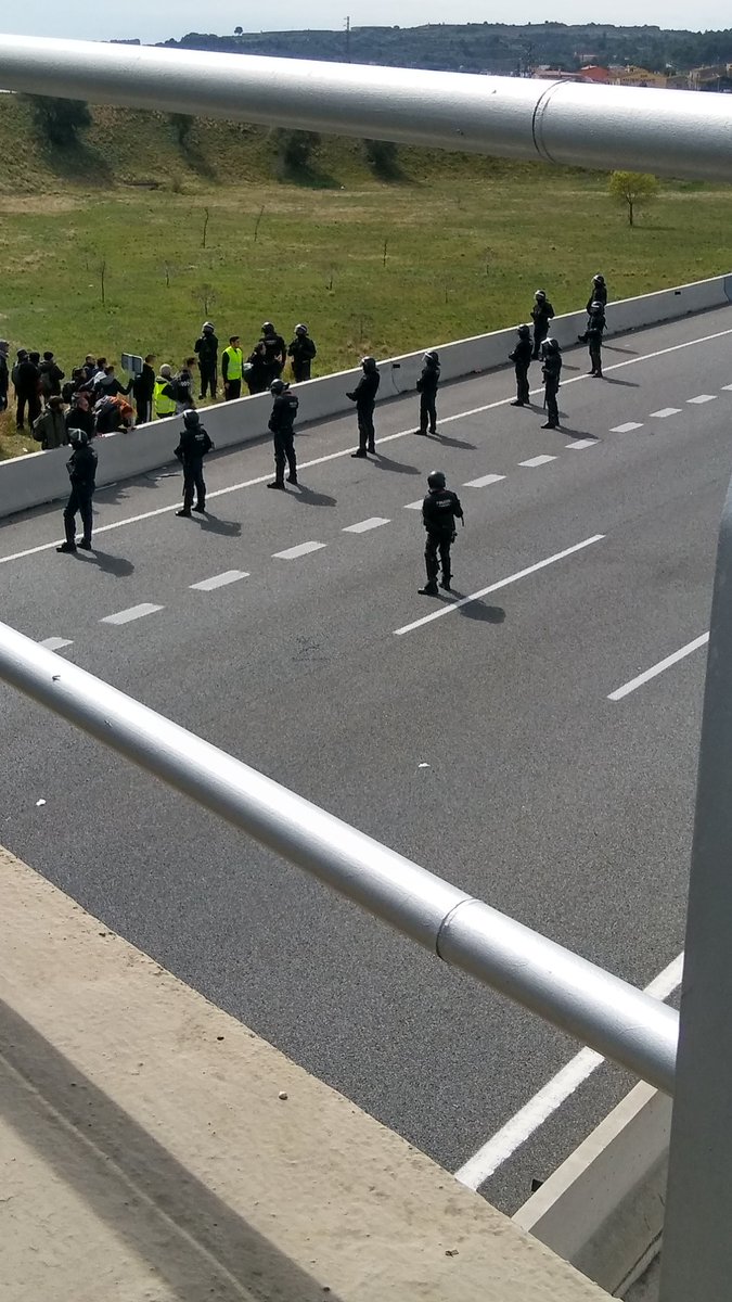 CDR.Vidreres tweet media