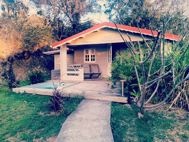 PassionVoyag's tweet photo. Bienvenue en Martinique... Jour 1 
#martinique #visitmartinique #antilles #capchevalier #bungalow #caraibes #traveladdict #enjoylifenow #matinik #picoftheday #travelblogger #gratitude #lovelife #digitalnomad https://t.co/fJD1DcZyxY https://t.co/YgAg9OPEl3