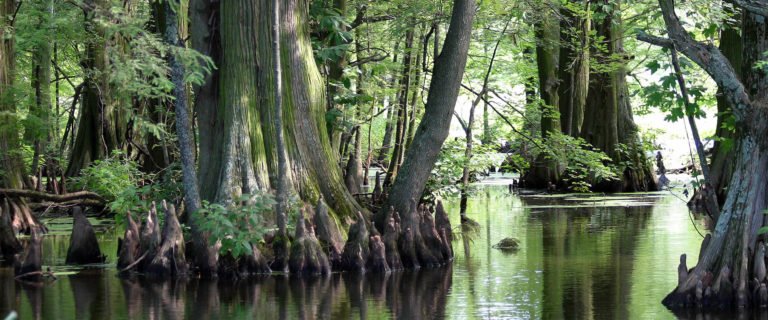 TripFiction's tweet photo. #TalkingLocationWith ... author @IdaFiction
#Tennessee
https://t.co/VRvXdsupn2
The setting for her novel "Rooted" https://t.co/csVggIRUOH