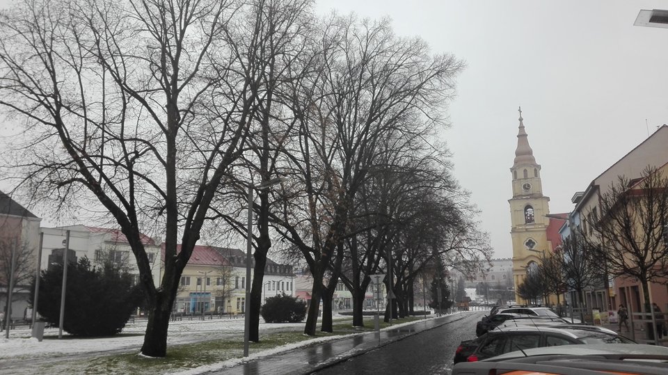 PESP_Research's tweet photo. Determination age of Tilia alley on the SNP square in #Zvolen. #Tilia🌳🌳🌳 #WinDENDROsoftware💻 #MarekJežík #OndrejKováčik #age90+ #plantingOfTreesDuringThe10thAnniversaryOfTheFoundingOfTheCzechoslovakRepublic #10thAnniversaryOfTheEndOfTheFirstWorldWar https://t.co/5tmlyZ4dyP