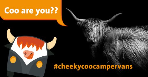 Made_inScot's tweet photo. Made in Scotland is proud to present Cheeky Coo Campervans Website - https://t.co/QKZSZ0lcHo📣 
Because we surely love hairy cows! 🐮 🧡
Don't be shy. Visit the website and book a Cheeky Adventure around Scotland. 🏴󠁧󠁢󠁳󠁣󠁴󠁿 #cheekycoocampervans https://t.co/h8gFvUas1n