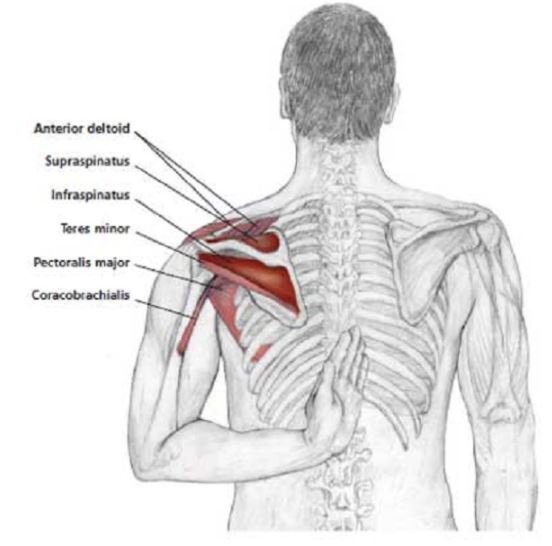 activeXbacks's tweet photo. Don't let work -or anything!- stiffen you up. Here are some #backandneck &amp; shoulder stretches to soften those areas that build up tension. #neckandbackpain #neckstrain #exercises #necktension https://t.co/T1Xlg5Pfae