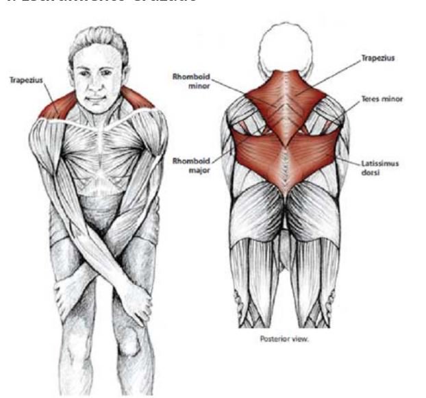 activeXbacks's tweet photo. Don't let work -or anything!- stiffen you up. Here are some #backandneck &amp; shoulder stretches to soften those areas that build up tension. #neckandbackpain #neckstrain #exercises #necktension https://t.co/T1Xlg5Pfae