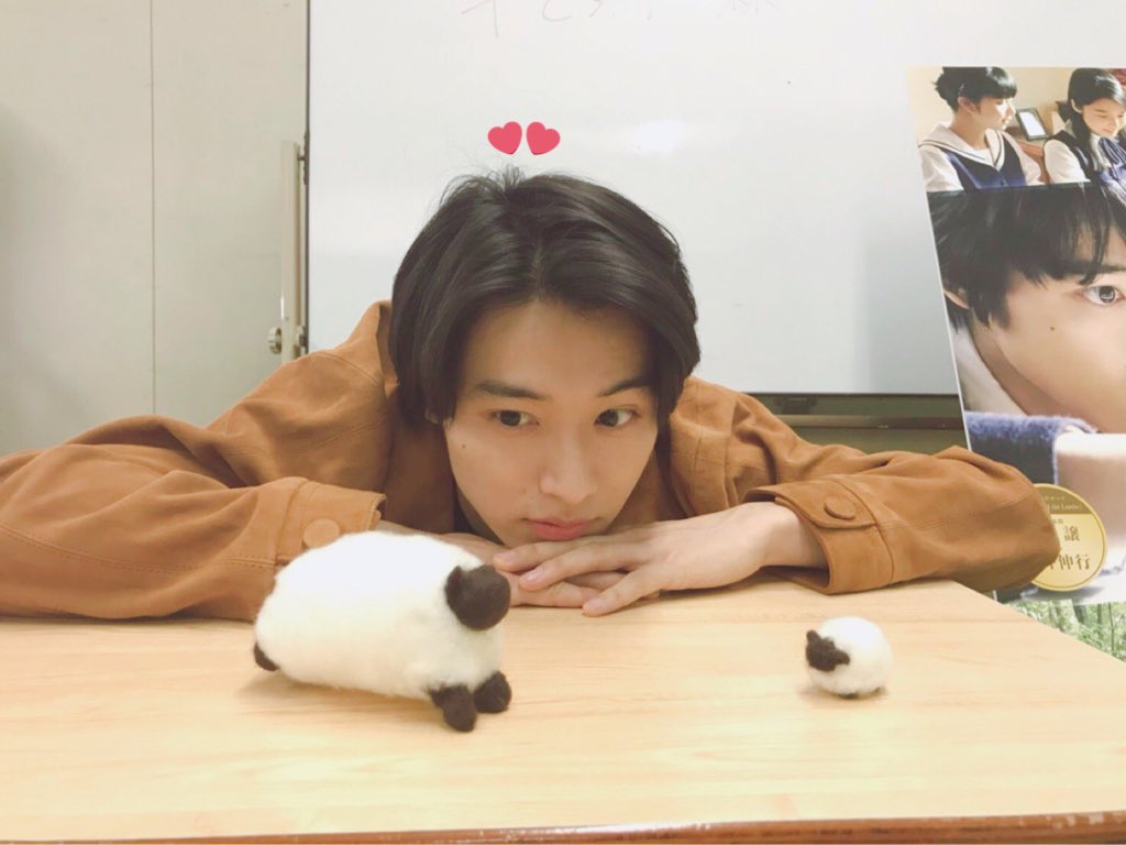 9497_yk's tweet photo. かわいすぎんだろ、 https://t.co/Q5zg0diu0k