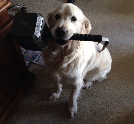 lafede_85's tweet photo. LABRATHOR https://t.co/rGpJmBsMpV