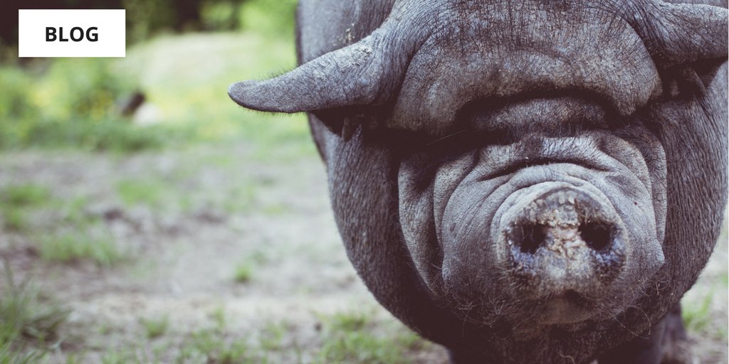 Productive #Defra meeting with #farmers - Read more at:

goo.gl/wwPxru